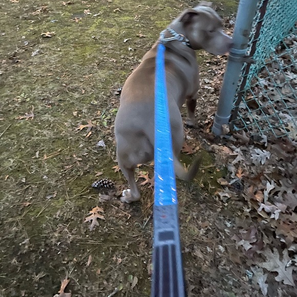 Disney Tails Star Wars dog leash/lead new.  Dark side red - Picture 8 of 8